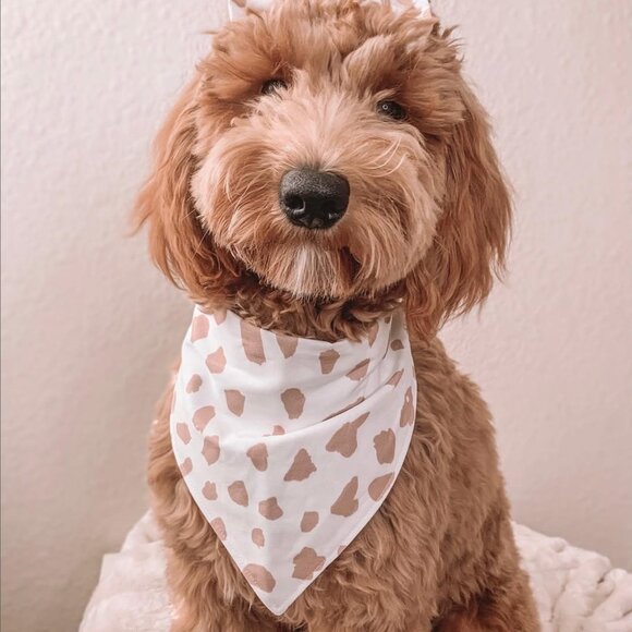 NWT Blush & Fluff Strawberry Cow Print Dog Bandana, White and Pink, Size M - Picture 2 of 16